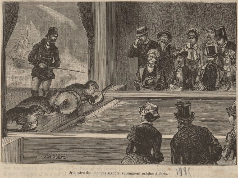 Illustration 3