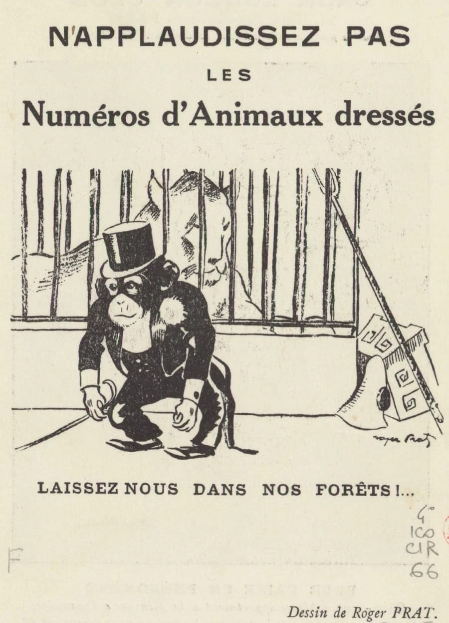 Illustration 4