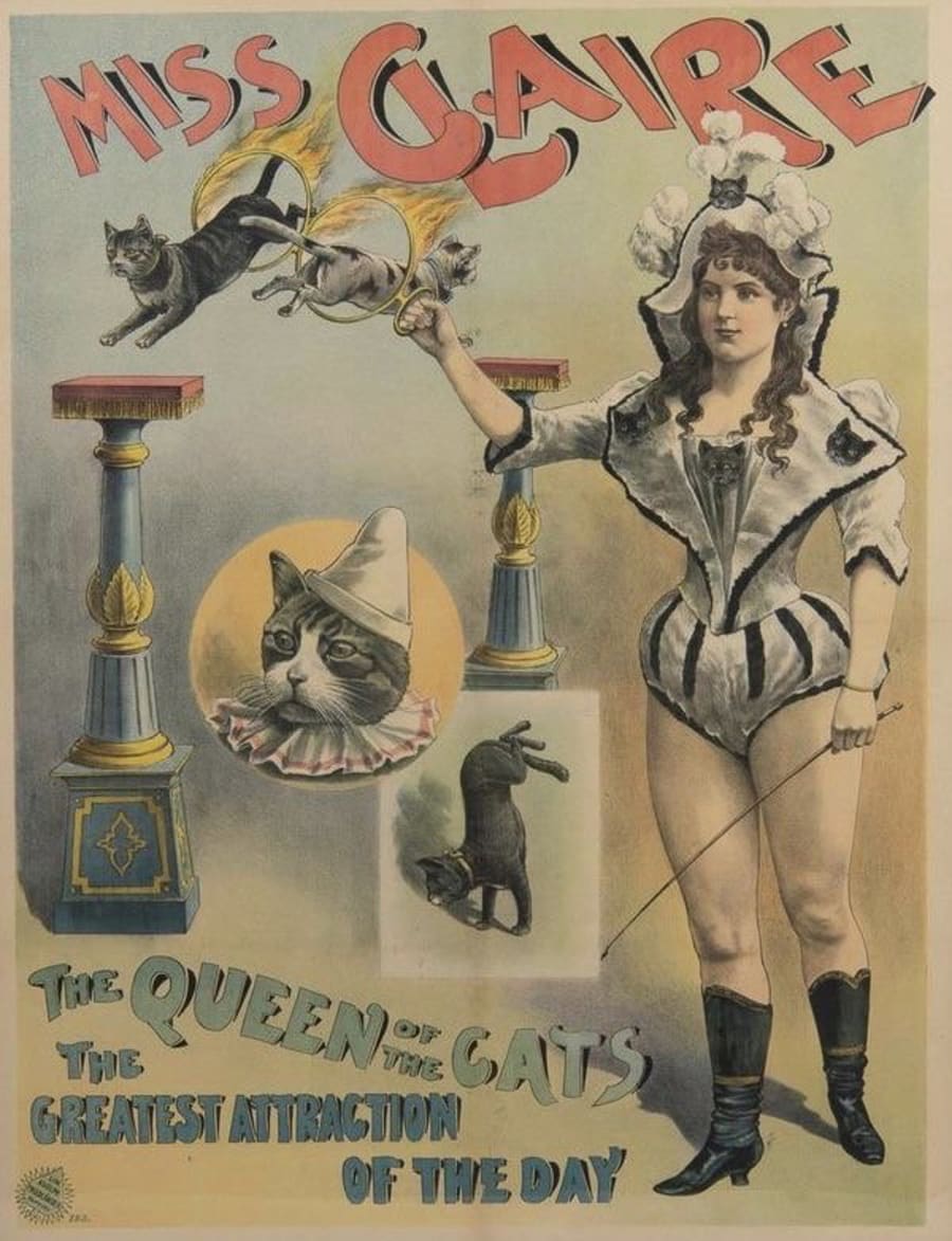 Illustration 6