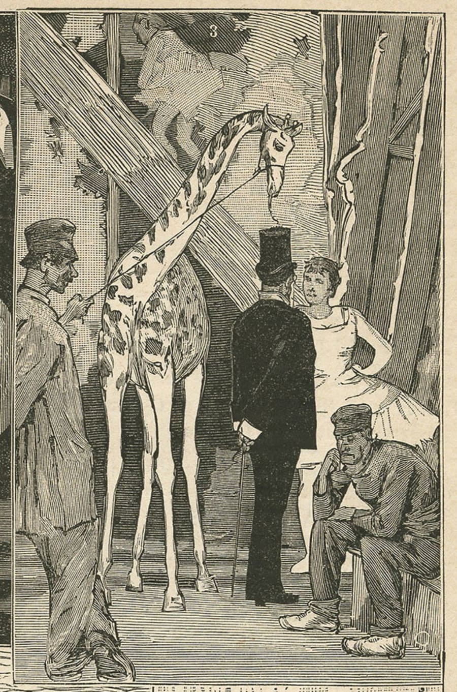 Illustration 44