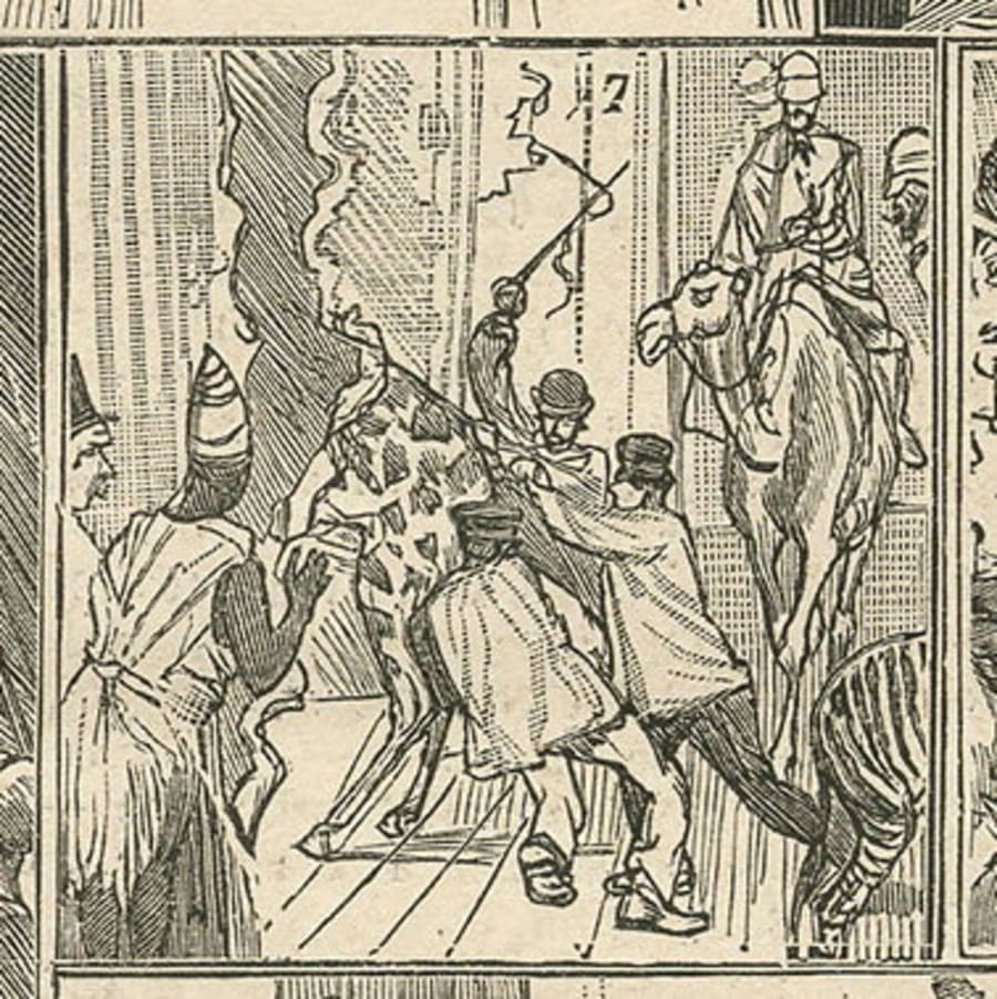 Illustration 48