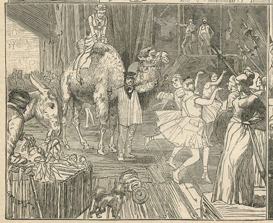 Illustration 50