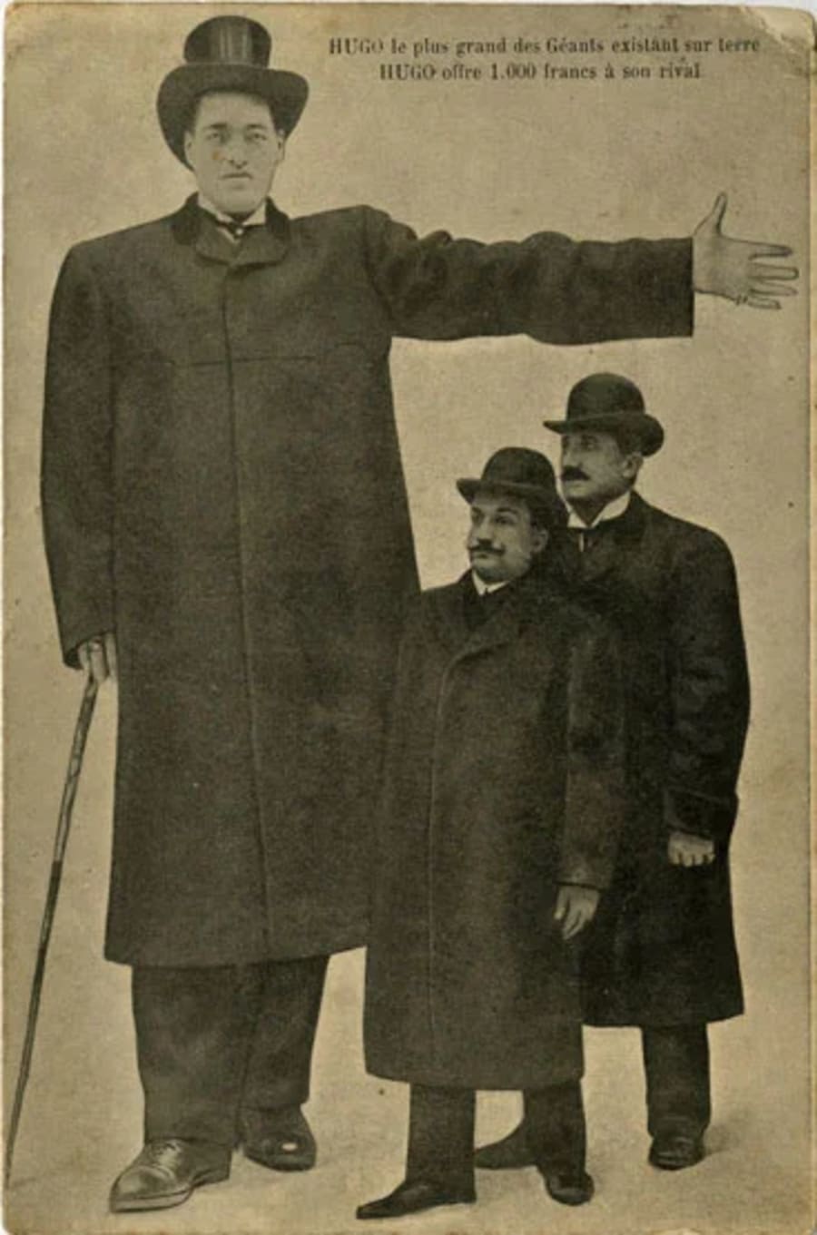Illustration 4