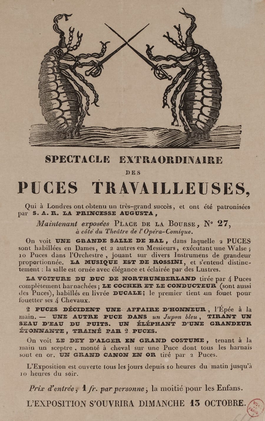Illustration 2