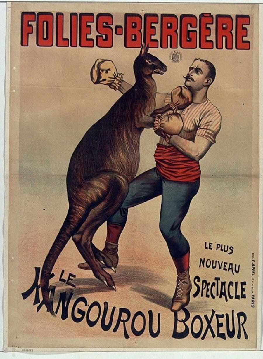 Illustration 5