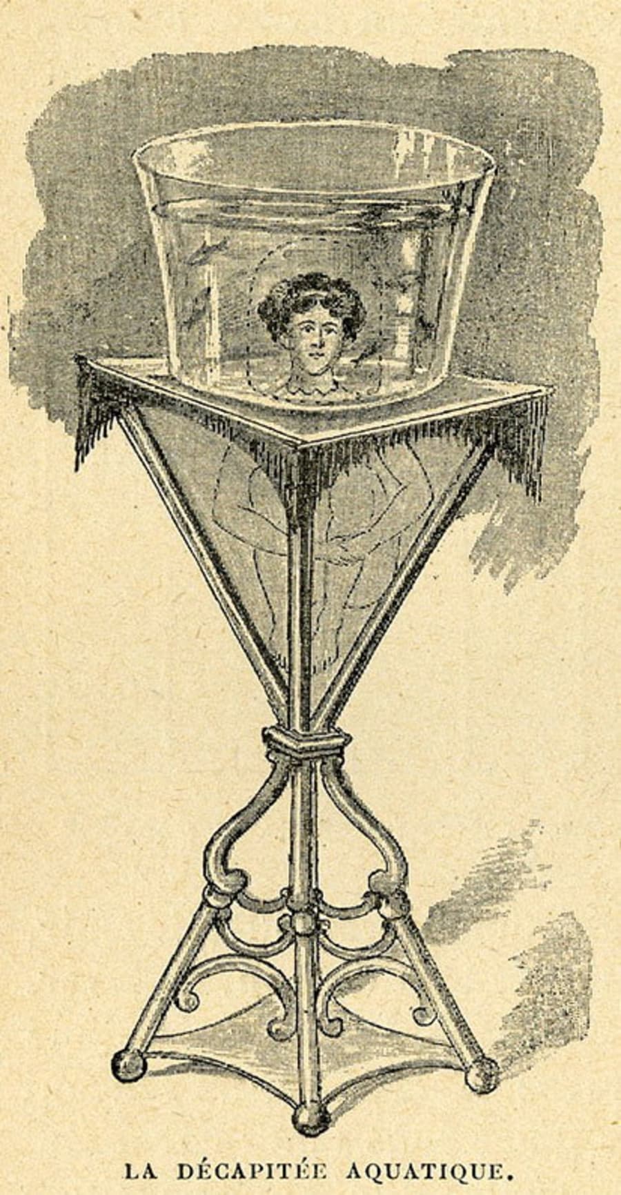 Illustration 12