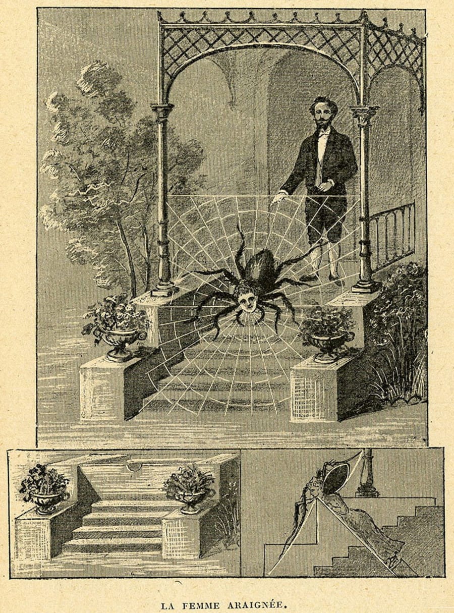 Illustration 30