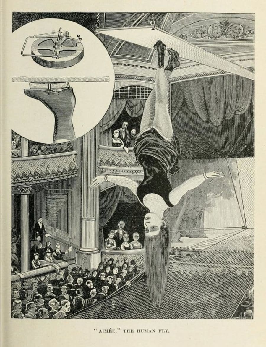 Illustration 43