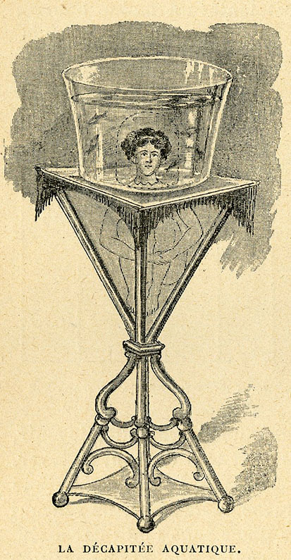 Illustration 11