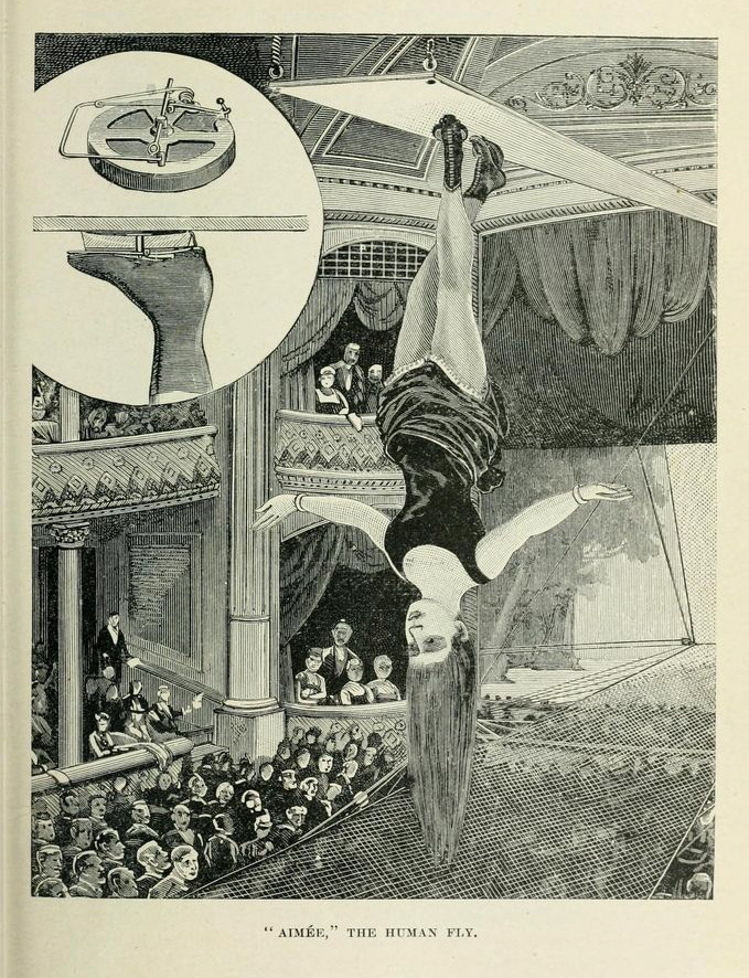 Illustration 42