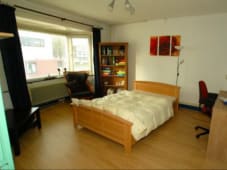 Mooie,nette kamer te huur