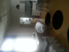 Kot / Studio