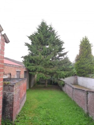 Zimmer Een propere stek in Bergen van 15m² aan € 330 per maand Bild 1