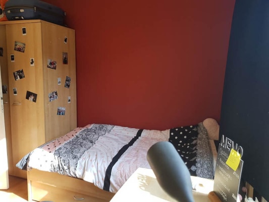 Sala Kot te huur voor eerste semester academiejaar 2023-2024 wegens Erasmus imagem 1