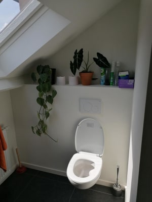 Casa Huis te huur - te delen onder 3 personen (1 persoon: domicilie verplicht) kan ook dus 2 studenten + 1 werkend iemand zijn imagem 4