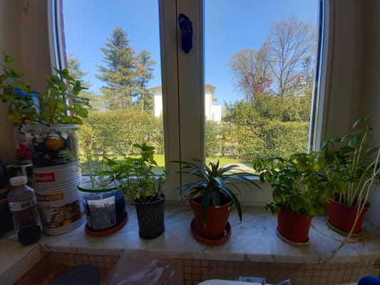 Casa Chambre à louer à Woluwe-Saint-Pierre imagem 4