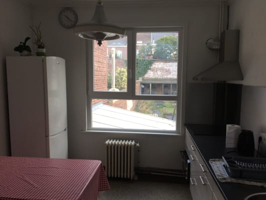 Casa Kot a louer 295€ ttc imagem 3