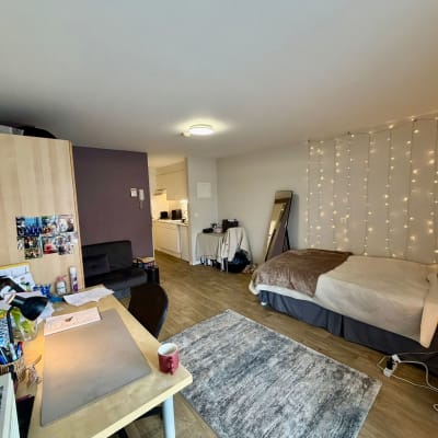 Oda Diestsestraat 115 resim 3