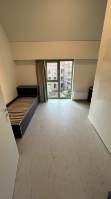 Zimmer Biehal 10 Bild 1