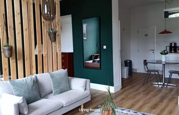 Stüdyo Studio van 45m² - Saint-Gilles resim 5