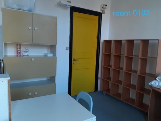 Kamer Frederik Lintsstraat 85 foto 3