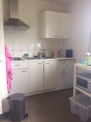 Stüdyo Ruime studio met eigen keuken en privé badkamer resim 2