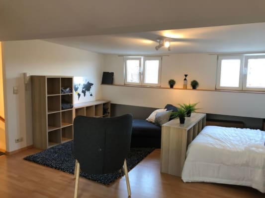 Studio Studio van 45m² foto 3