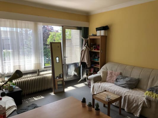 Kamer Ruime, rustige kamer met dakterras foto 2