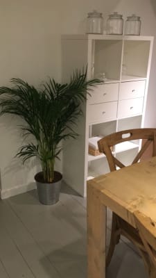 Kamer Mooie gemeubelde 2 persoonsduplex midden in de studentenbuurt en toch rustig gelegen foto 4