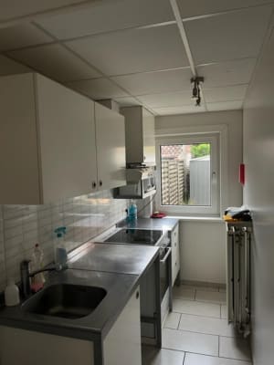 Studio Driesterrenstudio te huur image 2
