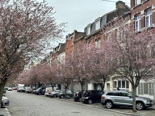 Ev Colocation - Liège resim 4