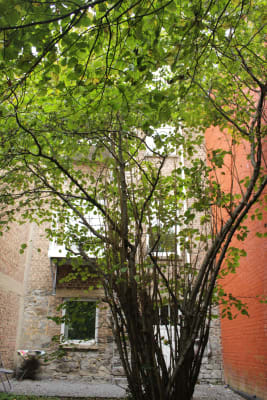 Studio Studio meublé 2 pièces avec terrasse et jardin pour 1 personne image 5