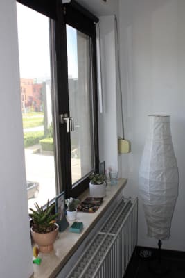 Sala Studentenkamer Weg naar As, Genk imagem 3