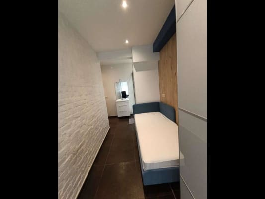 House Colocation - Forest image 1