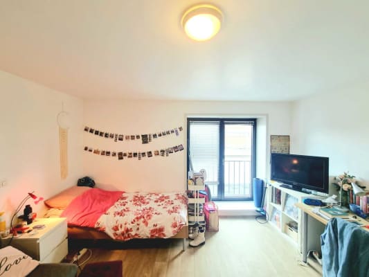 Room Diestsestraat 115 image 1