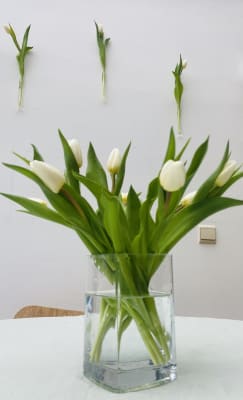 Sala Ravenstraat 51 imagem 5
