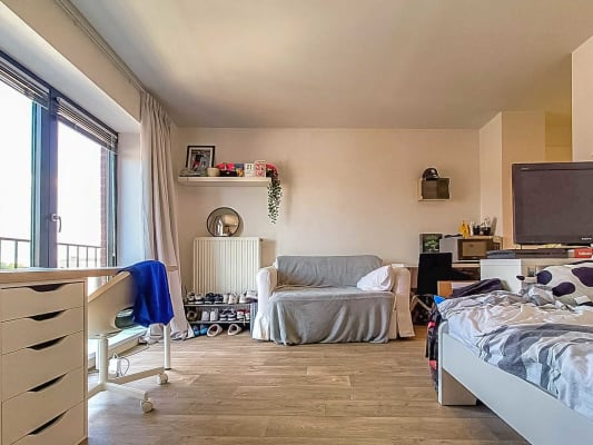 Oda Diestsestraat 115 resim 4
