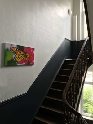Casa Kots imagem 4