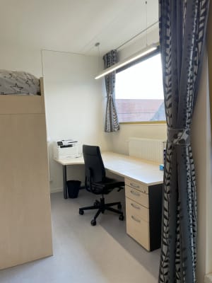 Estúdio 🎓 Studio te huur – Antwerpen (Paardenmarkt- Stijfselrui) imagem 1