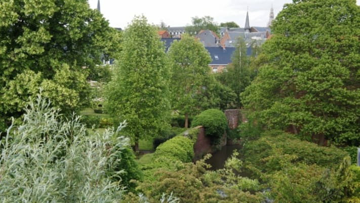 Redingenhof 14 | Kotzoeker