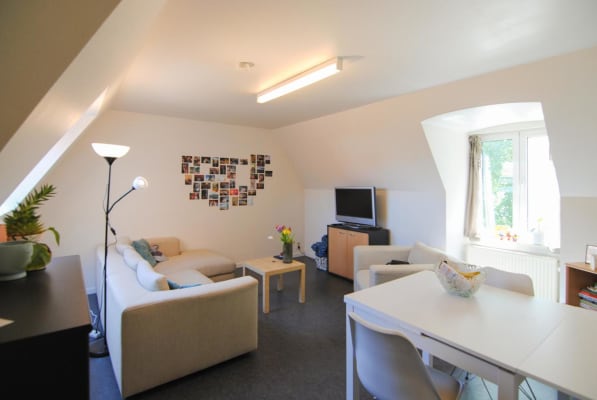 Studio Studio nabij 't Zand image 3