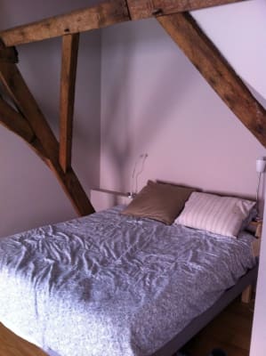 Room Molenmeers / Studio 11 image 1