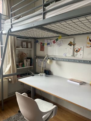 Kamer Andreas Vesaliusstraat 89 foto 1