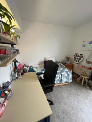 Room Bogaardenstraat 15 image 1