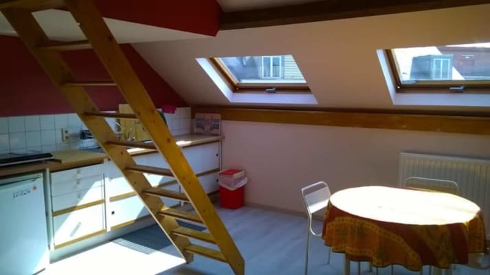 Appartement Studio avec mezzanine et chambre  image 3
