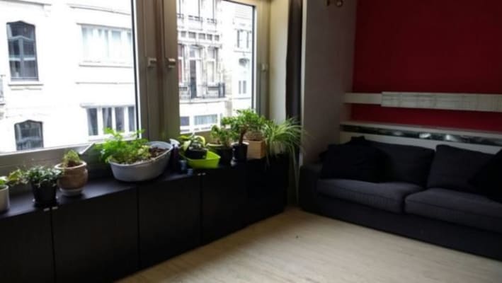 Appartement Quiet and bright classy apartment 90 m2 foto 3