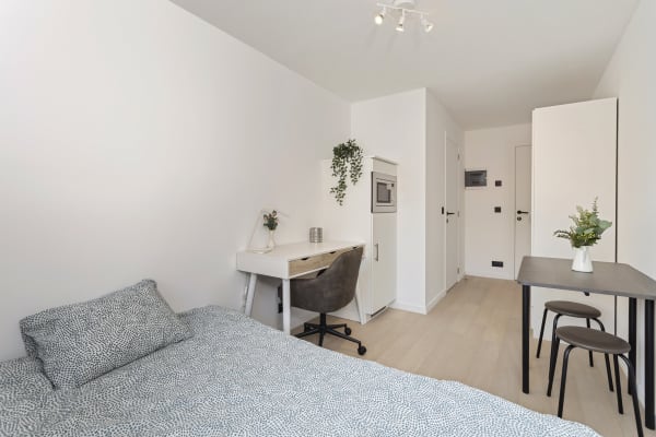 Studio Studentenkamer met eigen badkamer image 1