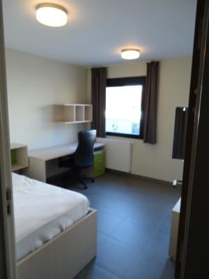 Room Gezellige en lichtrijke studentenkamers met eigen sanitair. image 1