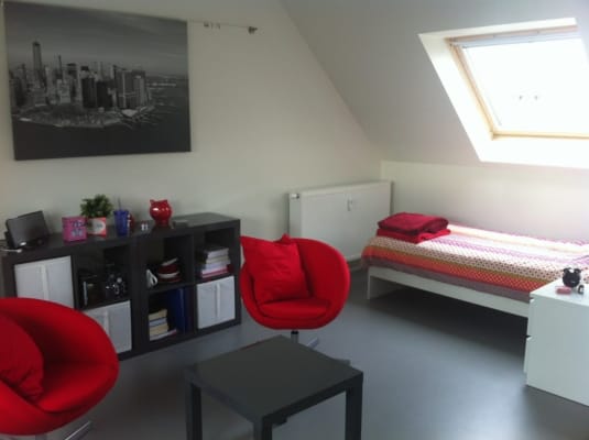 Kamer Moderne ruime studentenkamer (comfort-plus) met douche en toilet. foto 2