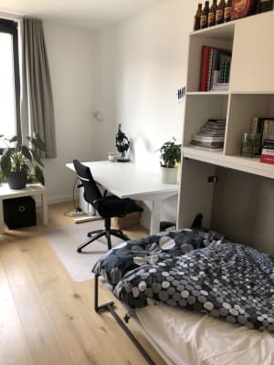 Sala Studentenkot te huur imagem 3